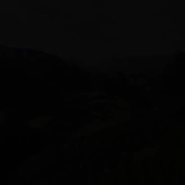 Tea plant aerial shot